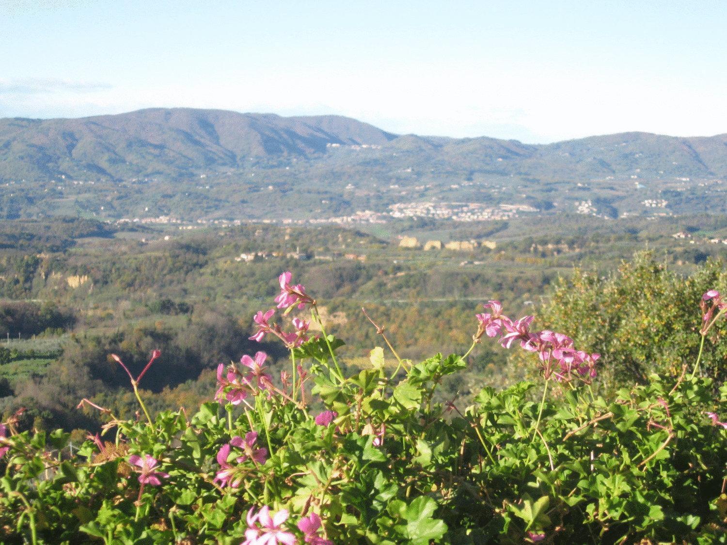 Agriturismo La Capitata Pian di Scò Eksteriør bilde
