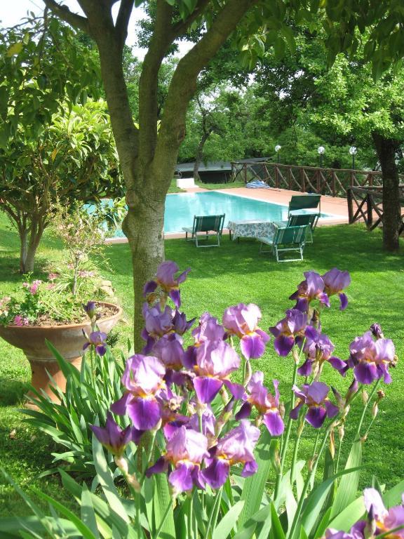 Agriturismo La Capitata Pian di Scò Eksteriør bilde